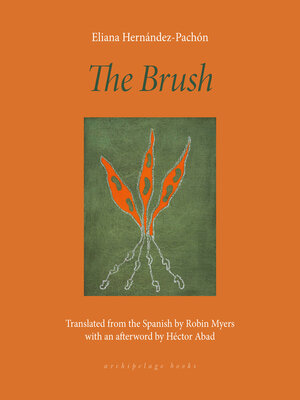 cover image of The Brush